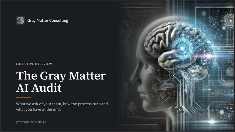 Cover of The Gray Matter AI Audit executive overview